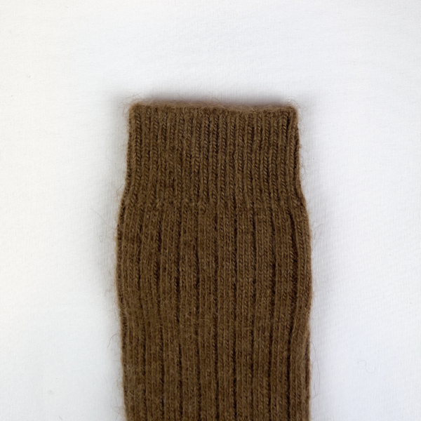 Adult_Camel_Brown_1 Adult_Camel_Brown_1